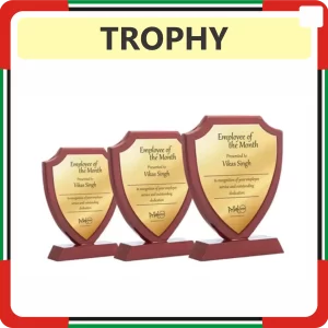 Trophy Printing In Dubai UAE