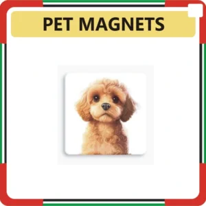 Pet Magnets Printing Online in Dubai UAE